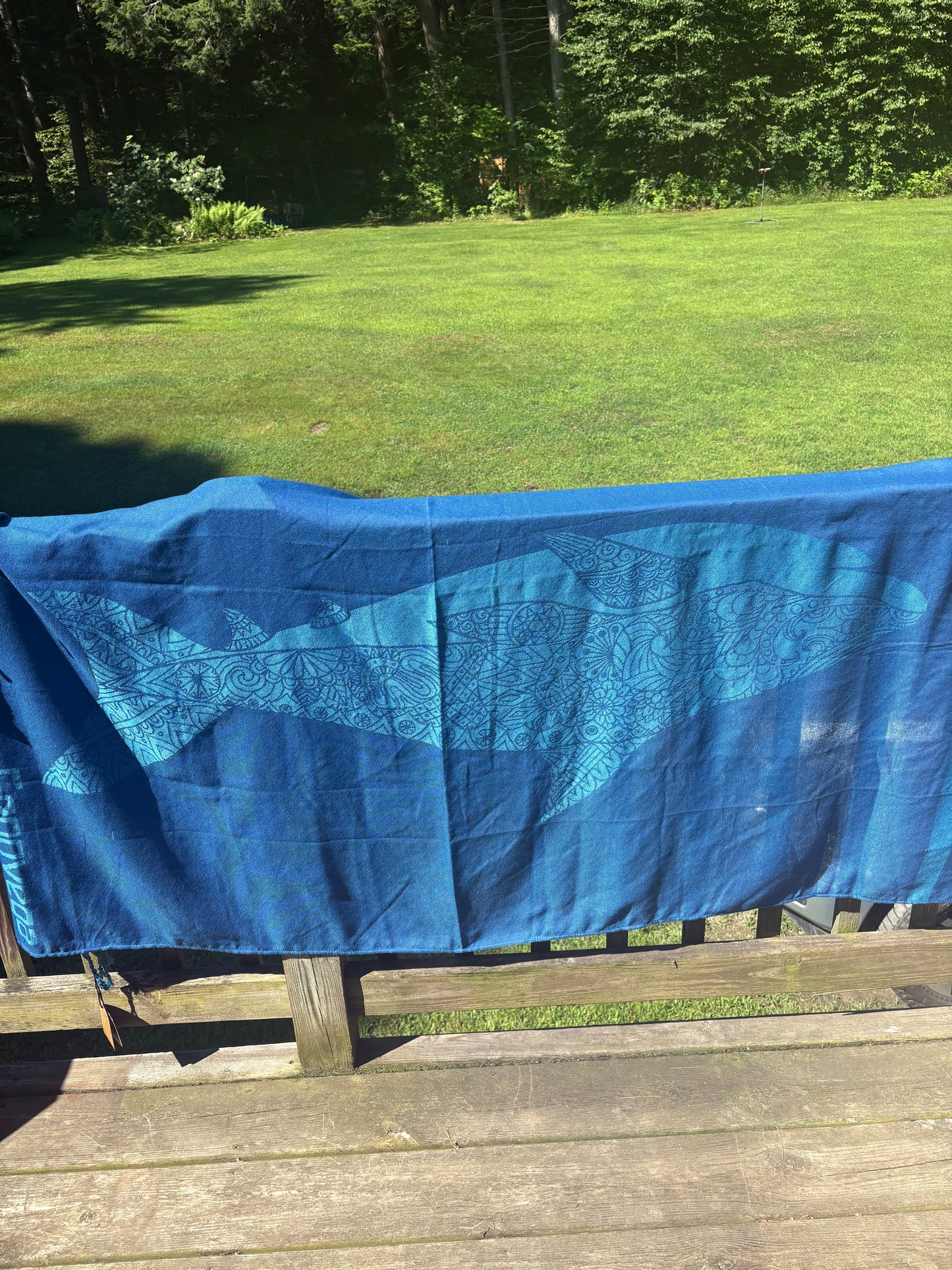 Blue Summer Fun Bundle
