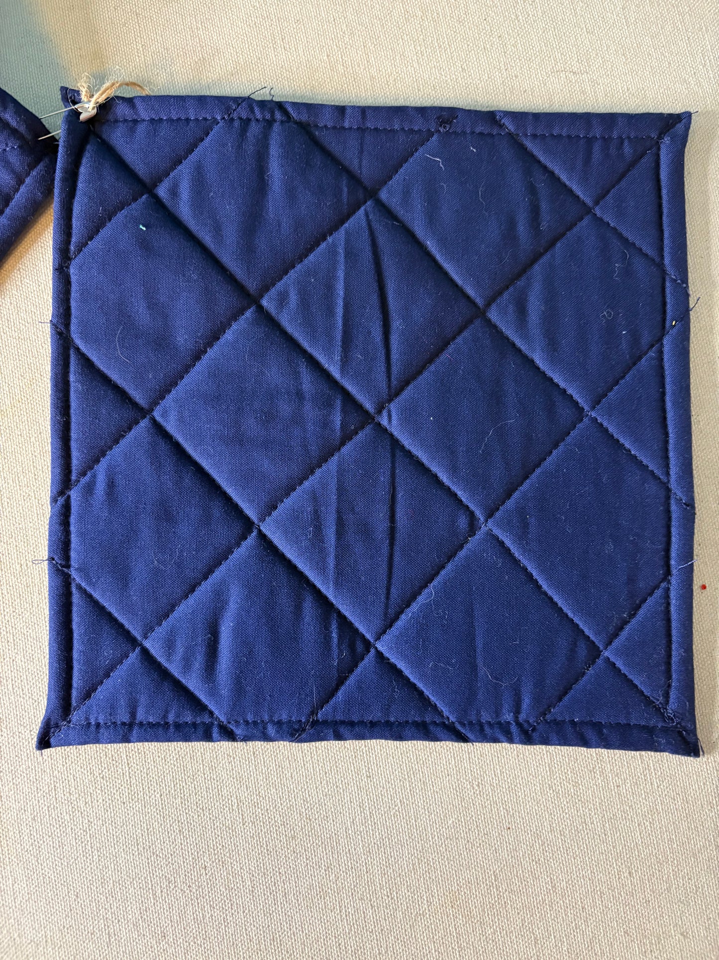 Summer Fun Potholders